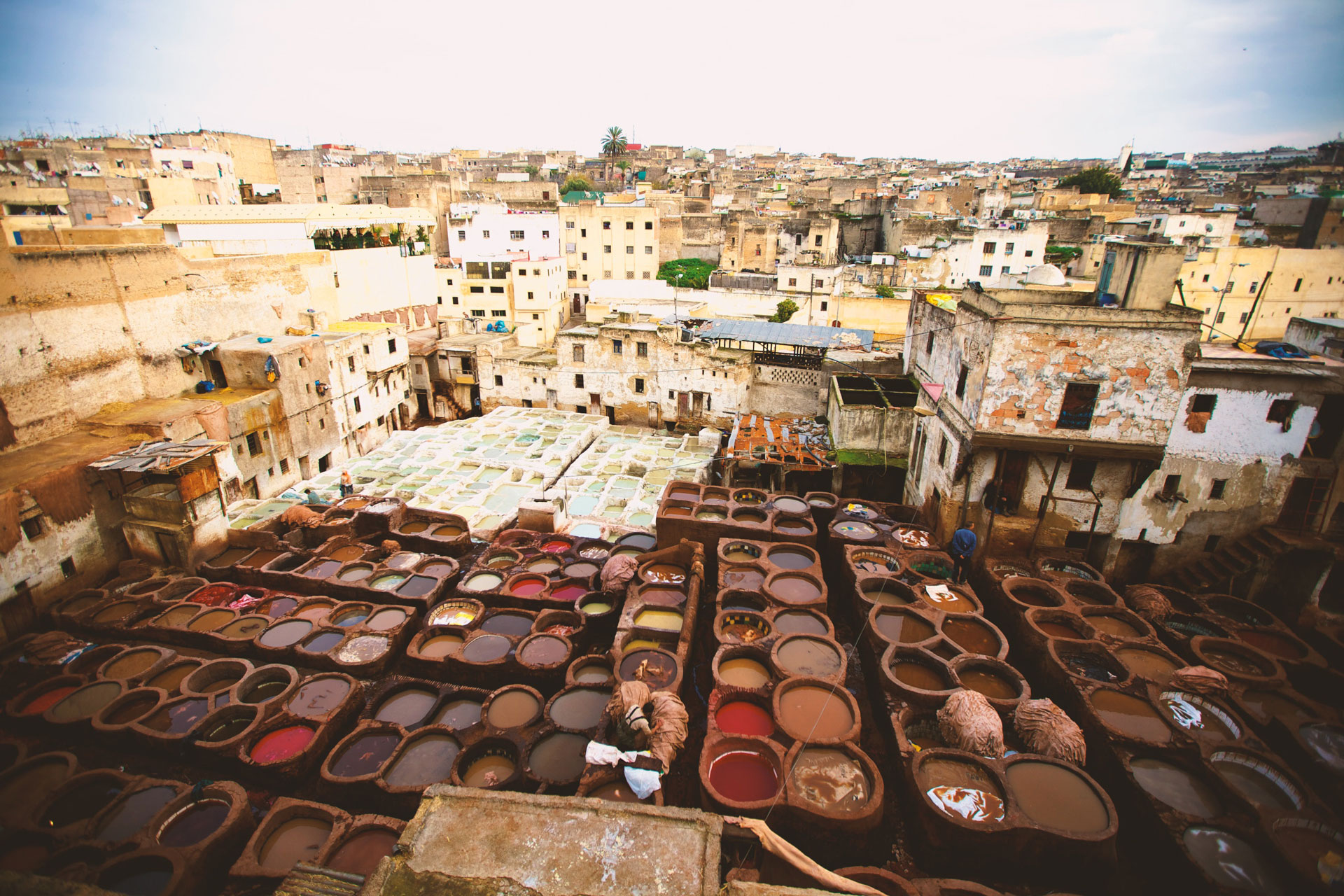 The Medina of Fez-Morocco-wolfare