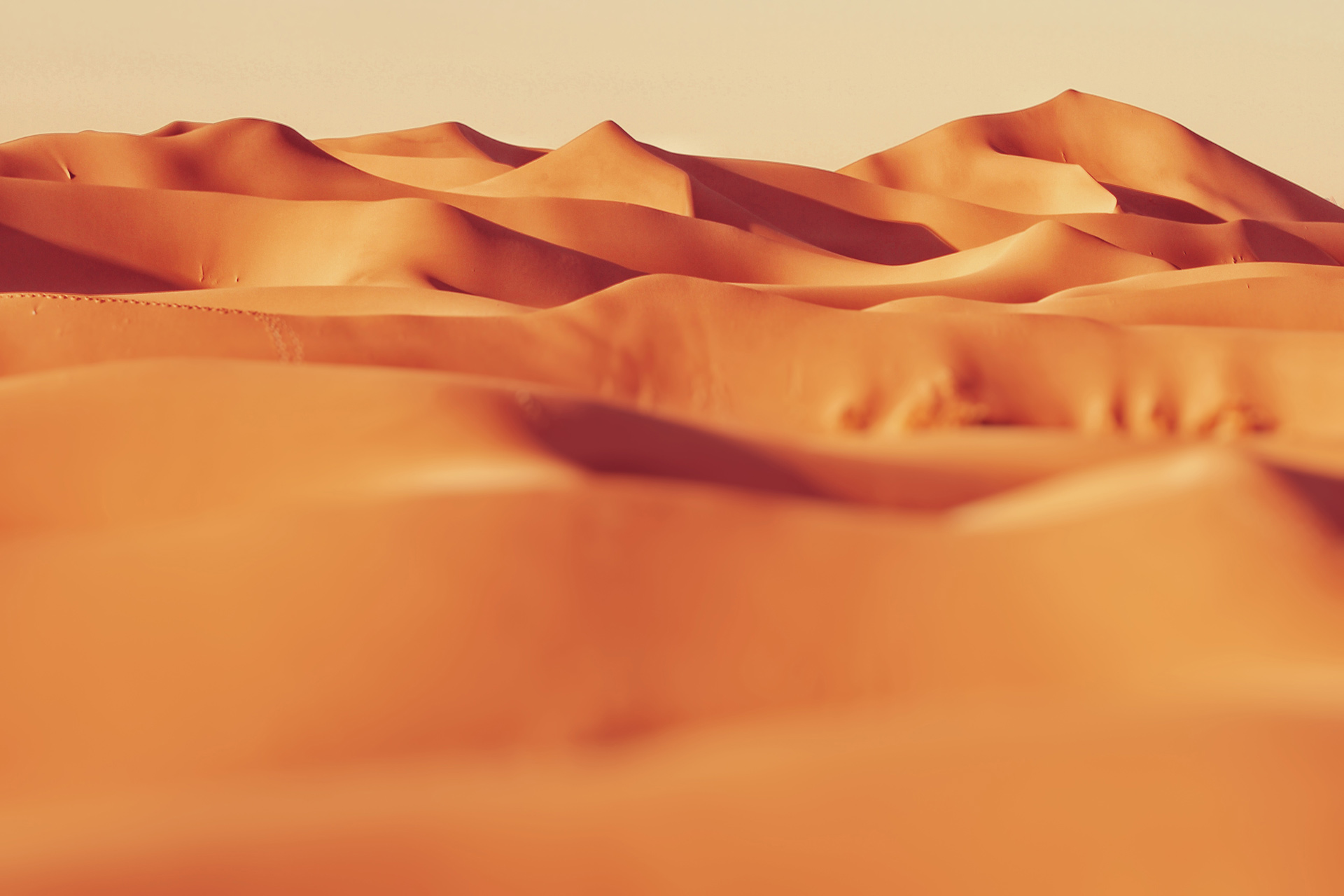 desert-iran